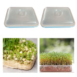 Maxbell 2 Pieces Garden Seed Sprouter Tray with Lid Beans Seedling Plant Germination Blue