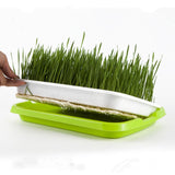 Maxbell 2 Pieces Garden Seed Sprouter Tray with Lid Beans Seedling Plant Germination Blue