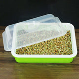 Maxbell 2 Pieces Garden Seed Sprouter Tray with Lid Beans Seedling Plant Germination Blue