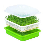 Maxbell 2 Pieces Garden Seed Sprouter Tray with Lid Beans Seedling Plant Germination Blue