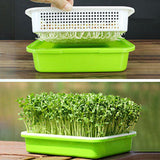 Maxbell 2 Pieces Garden Seed Sprouter Tray with Lid Beans Seedling Plant Germination Blue