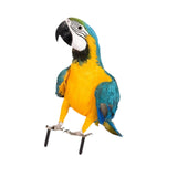 Maxbell Parrot Ground Stake Acrylic Sturdy Decorative Stake for Porch Courtyard Lawn