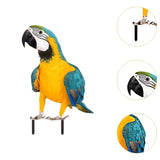 Maxbell Parrot Ground Stake Acrylic Sturdy Decorative Stake for Porch Courtyard Lawn