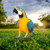 Maxbell Parrot Ground Stake Acrylic Sturdy Decorative Stake for Porch Courtyard Lawn