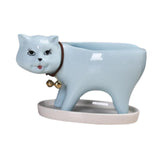 Maxbell Cat Shaped Planter Pot Cactus Cute Kitten Flowerpot for Office Bedroom Table Blue