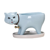Maxbell Cat Shaped Planter Pot Cactus Cute Kitten Flowerpot for Office Bedroom Table Blue