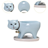 Maxbell Cat Shaped Planter Pot Cactus Cute Kitten Flowerpot for Office Bedroom Table Blue