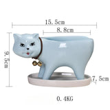 Maxbell Cat Shaped Planter Pot Cactus Cute Kitten Flowerpot for Office Bedroom Table Blue
