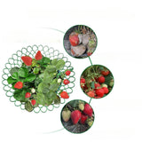 Maxbell Strawberry Plant Support Stand Waterproof with Sturdy Legs Strawberry Holder 26.5x10.1cm