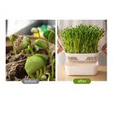 Maxbell Sprouting Tray White Basket Convenient Sprout Dish for Garden Indoor Kitchen