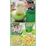 Maxbell Seed Sprouter Tray with Lid Seed Germination Propagation Tray for Greenhouse
