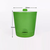 Maxbell Seed Sprouter Tray with Lid Seed Germination Propagation Tray for Greenhouse