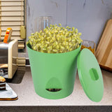 Maxbell Seed Sprouter Tray with Lid Seed Germination Propagation Tray for Greenhouse