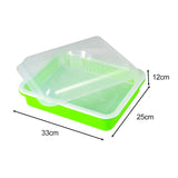 Maxbell Garden Seed Sprouter Tray Microgreens Growing Big Capacity Plant Germination Green