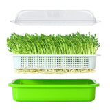 Maxbell Garden Seed Sprouter Tray Microgreens Growing Big Capacity Plant Germination Green