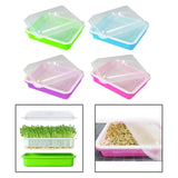Maxbell Garden Seed Sprouter Tray Microgreens Growing Big Capacity Plant Germination Green