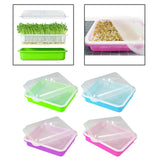 Maxbell Garden Seed Sprouter Tray Microgreens Growing Big Capacity Plant Germination Green