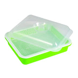 Maxbell Garden Seed Sprouter Tray Microgreens Growing Big Capacity Plant Germination Green