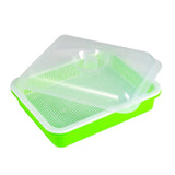 Maxbell Garden Seed Sprouter Tray Microgreens Growing Big Capacity Plant Germination Green