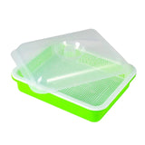 Maxbell Garden Seed Sprouter Tray Microgreens Growing Big Capacity Plant Germination Green