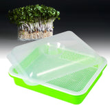Maxbell Garden Seed Sprouter Tray Microgreens Growing Big Capacity Plant Germination Green