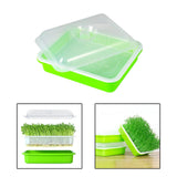 Maxbell Garden Seed Sprouter Tray Microgreens Growing Big Capacity Plant Germination Green