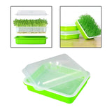Maxbell Garden Seed Sprouter Tray Microgreens Growing Big Capacity Plant Germination Green
