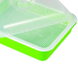 Maxbell Garden Seed Sprouter Tray Microgreens Growing Big Capacity Plant Germination Green