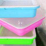 Maxbell Garden Seed Sprouter Tray Microgreens Growing Big Capacity Plant Germination Blue