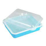 Maxbell Garden Seed Sprouter Tray Microgreens Growing Big Capacity Plant Germination Blue