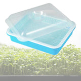 Maxbell Garden Seed Sprouter Tray Microgreens Growing Big Capacity Plant Germination Blue