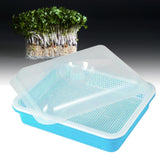 Maxbell Garden Seed Sprouter Tray Microgreens Growing Big Capacity Plant Germination Blue