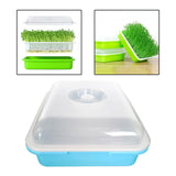 Maxbell Garden Seed Sprouter Tray Microgreens Growing Big Capacity Plant Germination Blue
