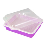 Maxbell Garden Seed Sprouter Tray Microgreens Growing Big Capacity Plant Germination Violet