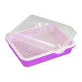 Maxbell Garden Seed Sprouter Tray Microgreens Growing Big Capacity Plant Germination Violet