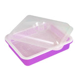 Maxbell Garden Seed Sprouter Tray Microgreens Growing Big Capacity Plant Germination Violet