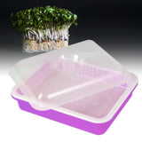 Maxbell Garden Seed Sprouter Tray Microgreens Growing Big Capacity Plant Germination Violet