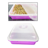 Maxbell Garden Seed Sprouter Tray Microgreens Growing Big Capacity Plant Germination Violet