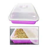 Maxbell Garden Seed Sprouter Tray Microgreens Growing Big Capacity Plant Germination Violet