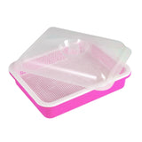 Maxbell Garden Seed Sprouter Tray Microgreens Growing Big Capacity Plant Germination Pink