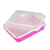 Maxbell Garden Seed Sprouter Tray Microgreens Growing Big Capacity Plant Germination Pink