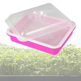 Maxbell Garden Seed Sprouter Tray Microgreens Growing Big Capacity Plant Germination Pink