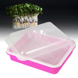 Maxbell Garden Seed Sprouter Tray Microgreens Growing Big Capacity Plant Germination Pink
