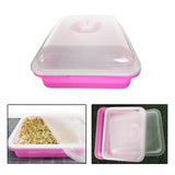 Maxbell Garden Seed Sprouter Tray Microgreens Growing Big Capacity Plant Germination Pink