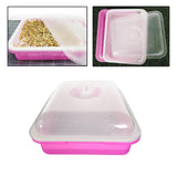 Maxbell Garden Seed Sprouter Tray Microgreens Growing Big Capacity Plant Germination Pink