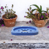 Maxbell Movable Gas Cylinder Base PP with Handles for Gas Bottle Potted Plants Vases Blue