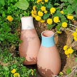 Maxbell 4Pcs Automatic Plant Watering Devices Versatile Self Watering Planter Insert