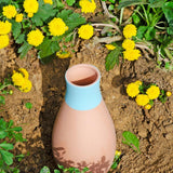 Maxbell 4Pcs Automatic Plant Watering Devices Versatile Self Watering Planter Insert
