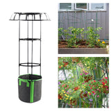 Maxbell Garden Trellis Black Metal Plant Trellis for Climbing Plants Cucumbers Vines 105x50cm