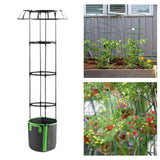 Maxbell Garden Trellis Black Metal Plant Trellis for Climbing Plants Cucumbers Vines 135x50cm